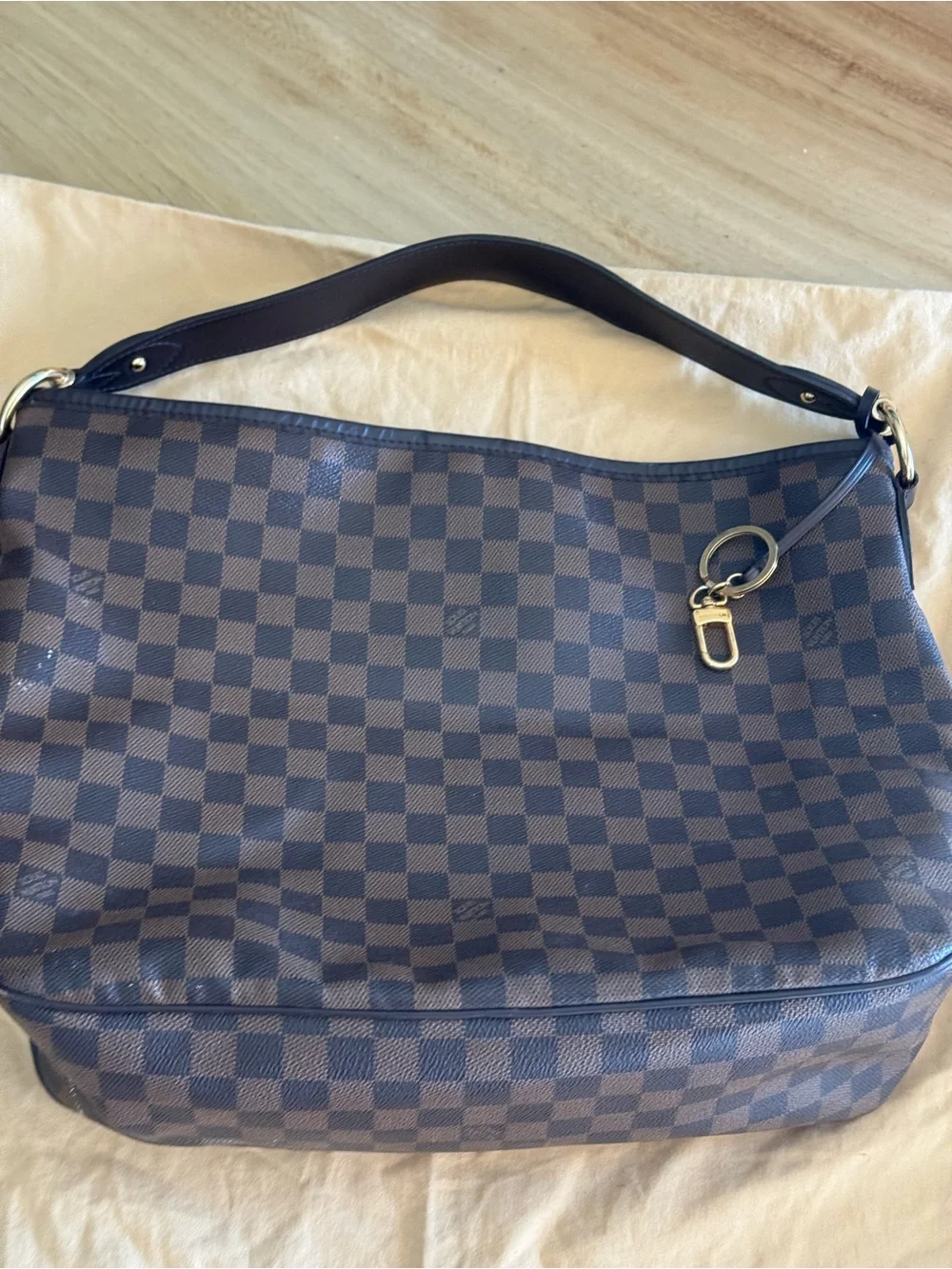 Louis Vuitton Damier Ebene Check Hobo with Gold-Tone Accent